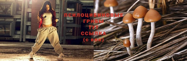 ешки Балахна