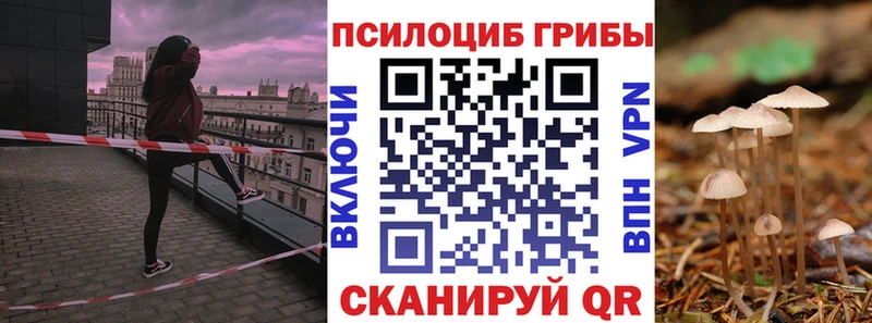 blacksprut   Петухово  Галлюциногенные грибы GOLDEN TEACHER 